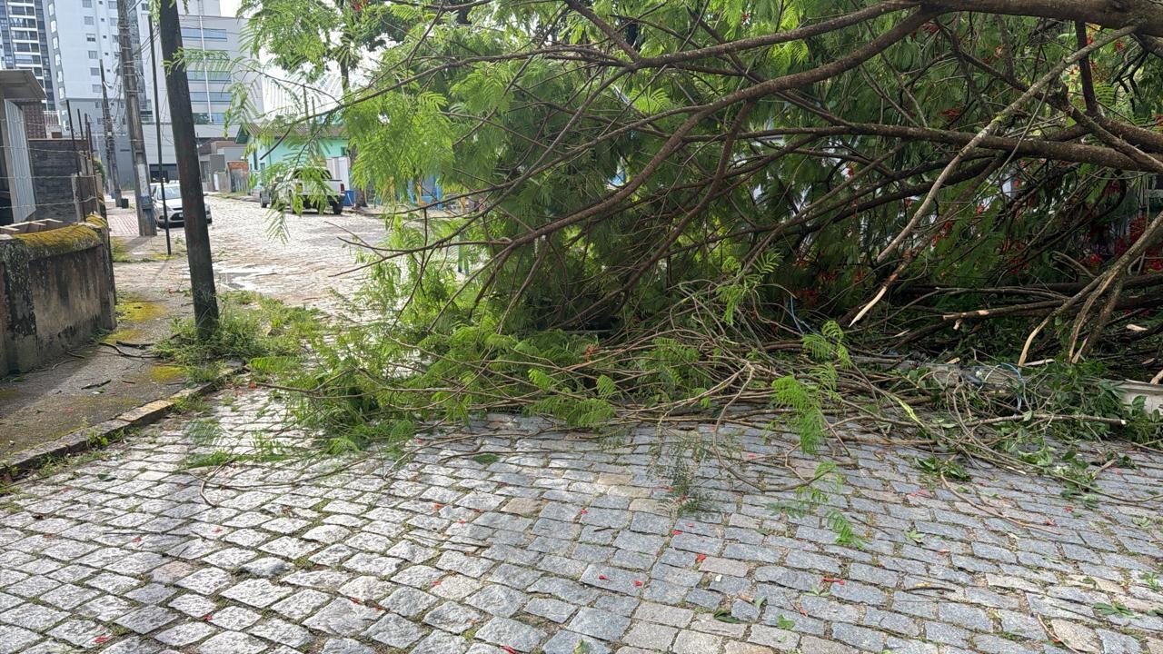blog-image 1